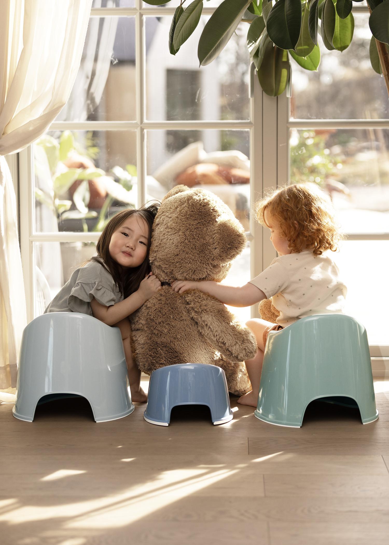 BabyBjörn Potty Chair