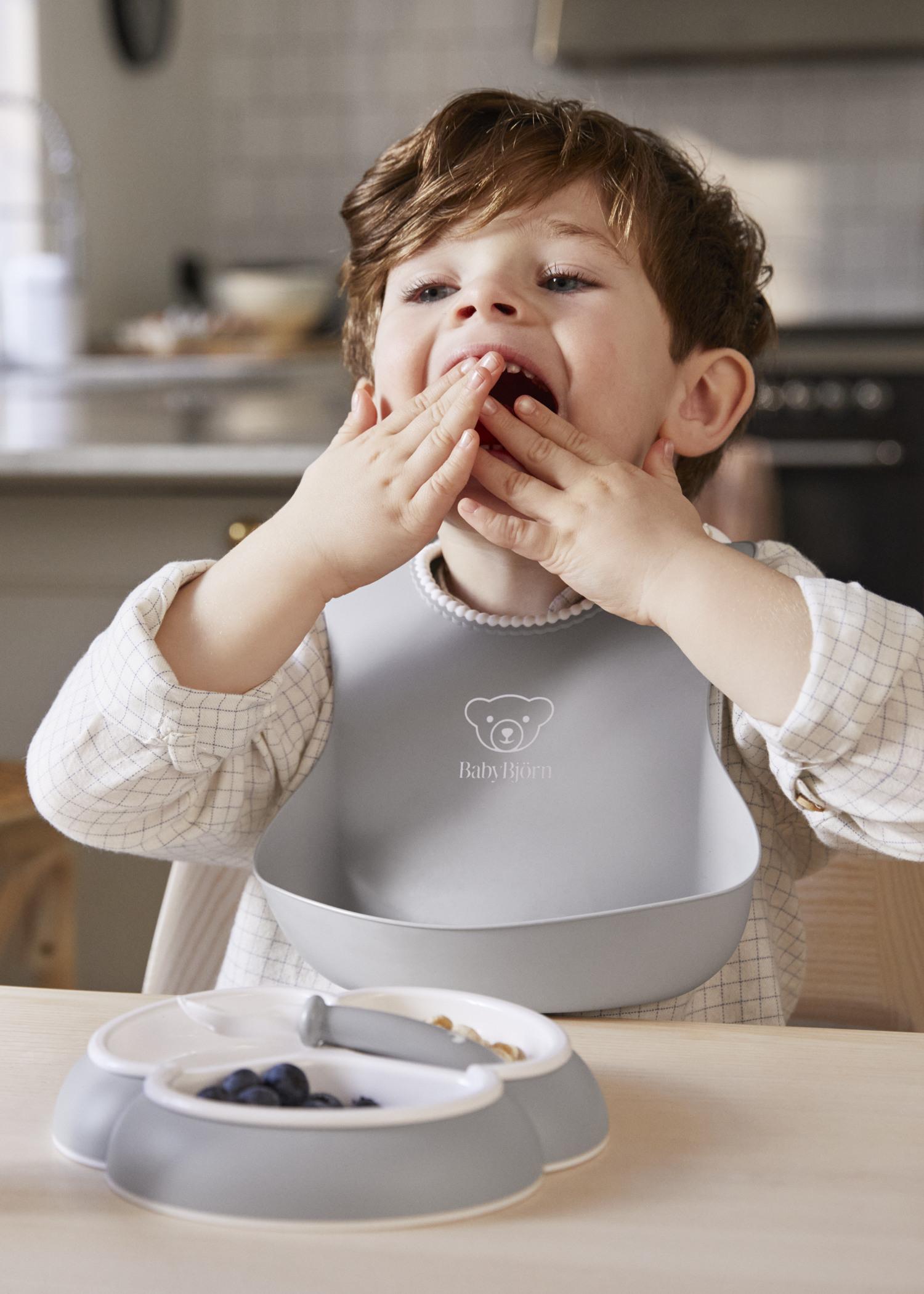 Mealtime set with divided plate, baby cutlery and a bib with spill pocket - BabyBjörn