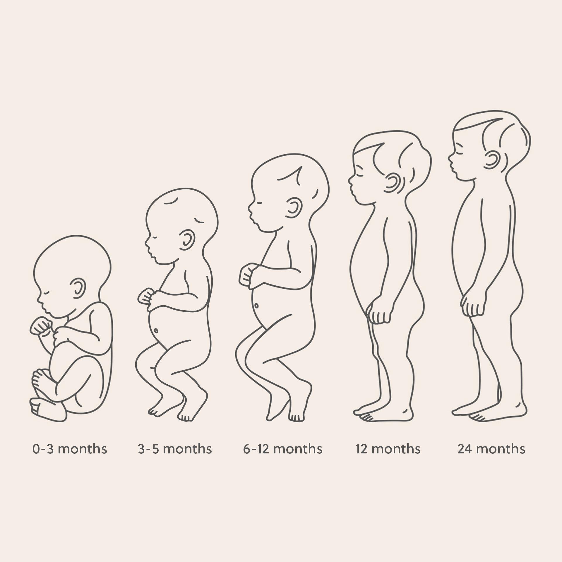 Ergonomic baby developement - BabyBjörn