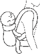 Back carrying - BabyBjörn